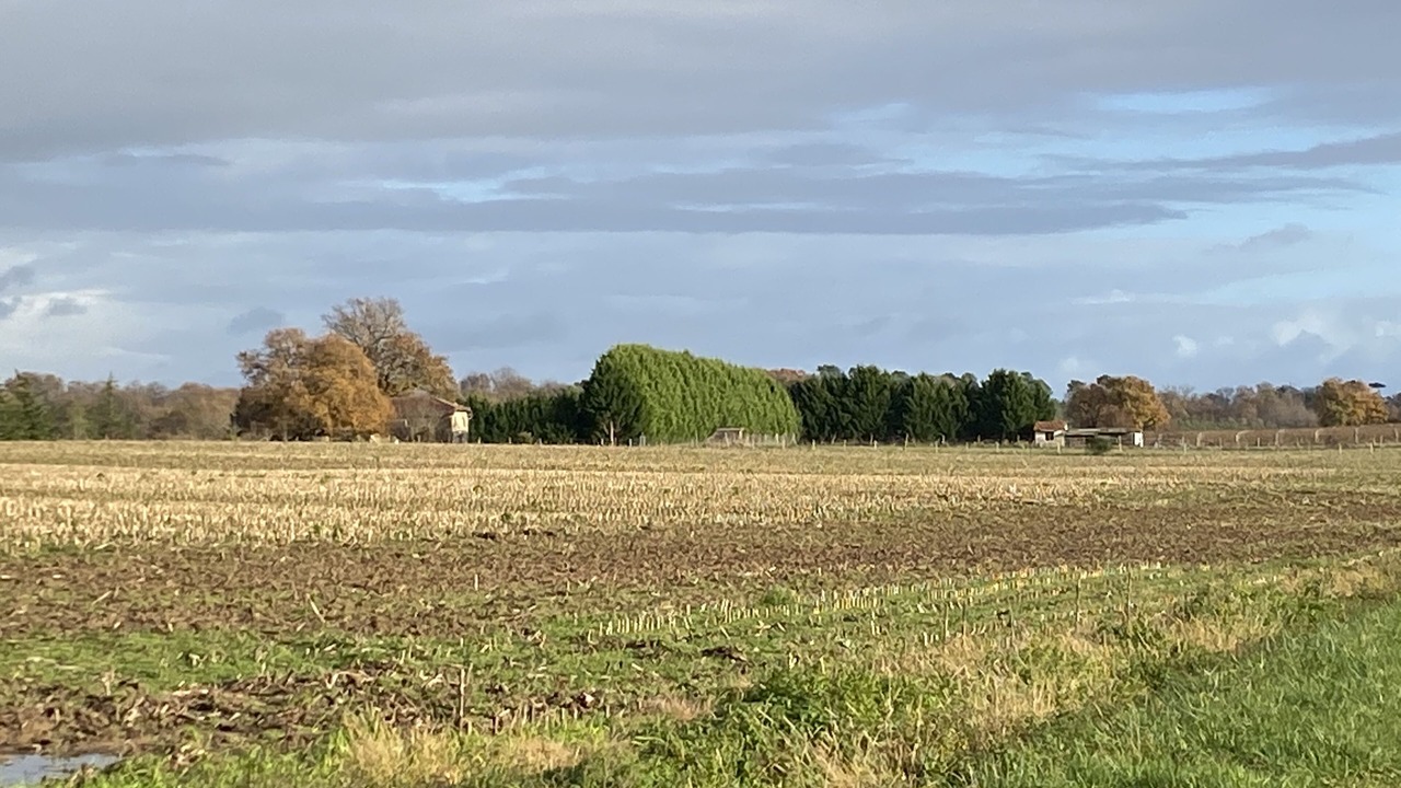 Photo of Outdoor in Mauleon-d'Armagnac