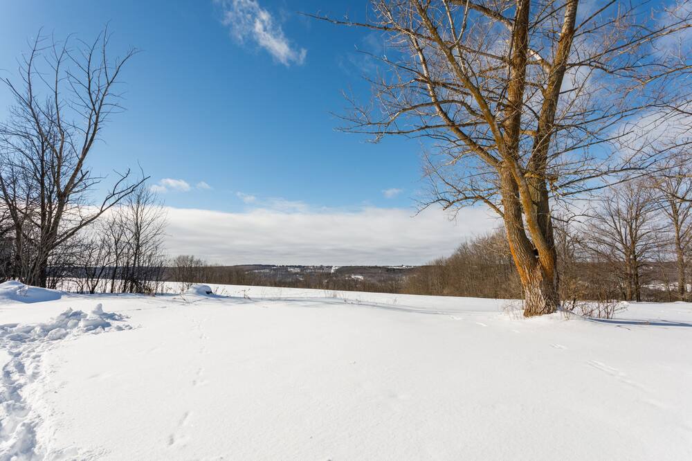 Photo of Others in Grey Highlands
