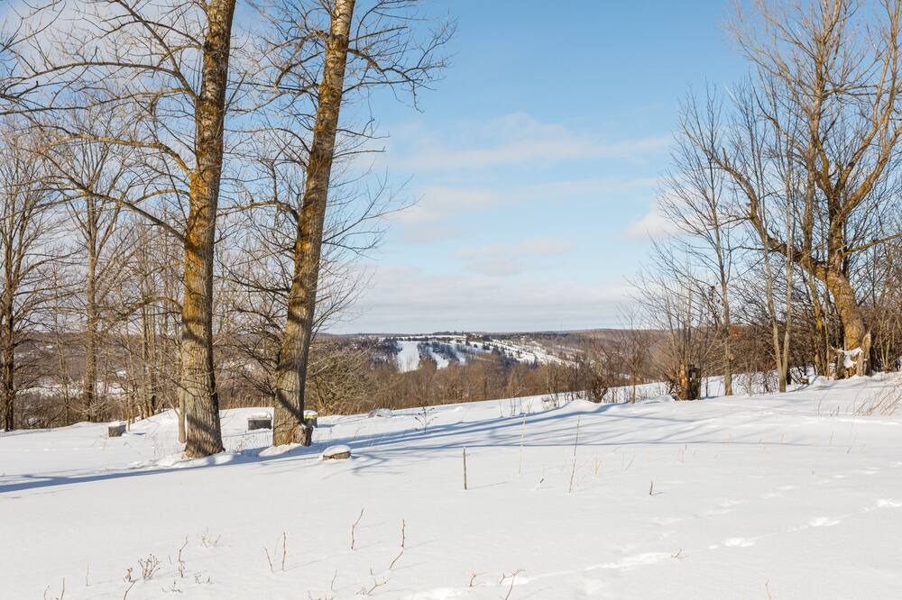 Photo of Others in Grey Highlands