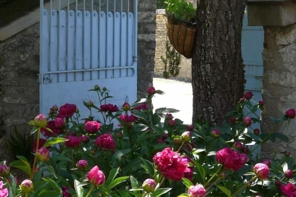 Photo of Outdoor in Ardelu