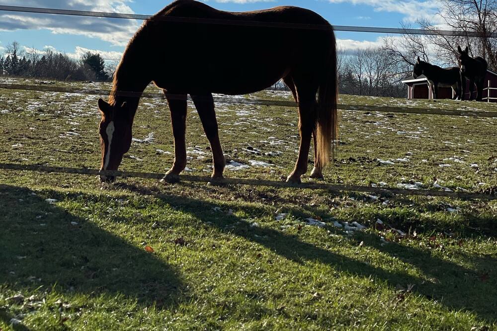 Photo of Outdoor in Washington