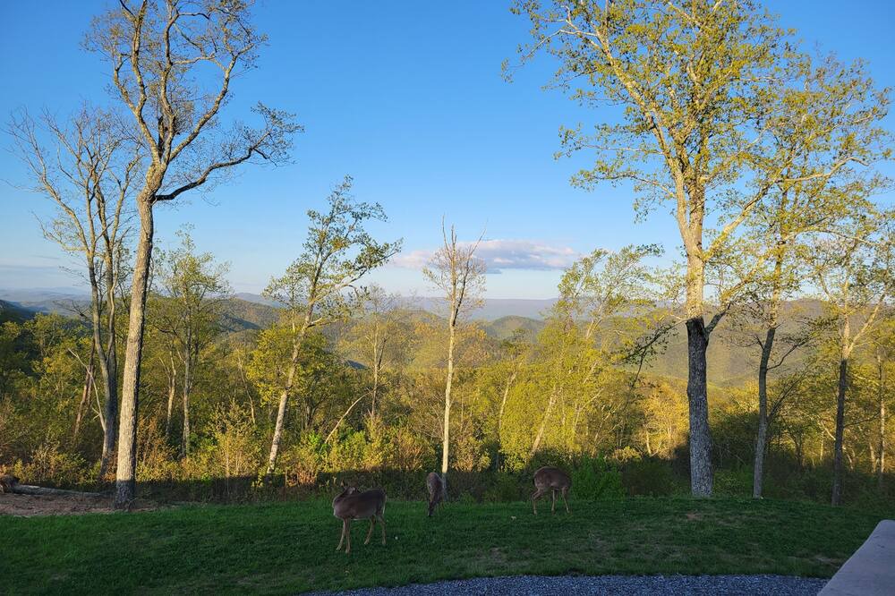 Photo of Outdoor in Covington
