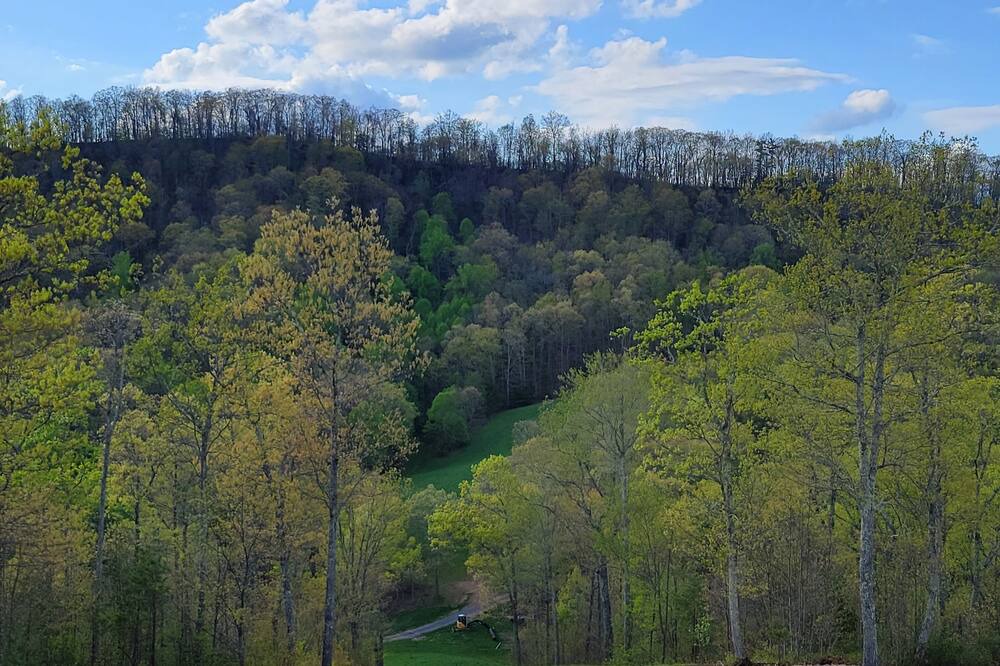 Photo of Outdoor in Covington