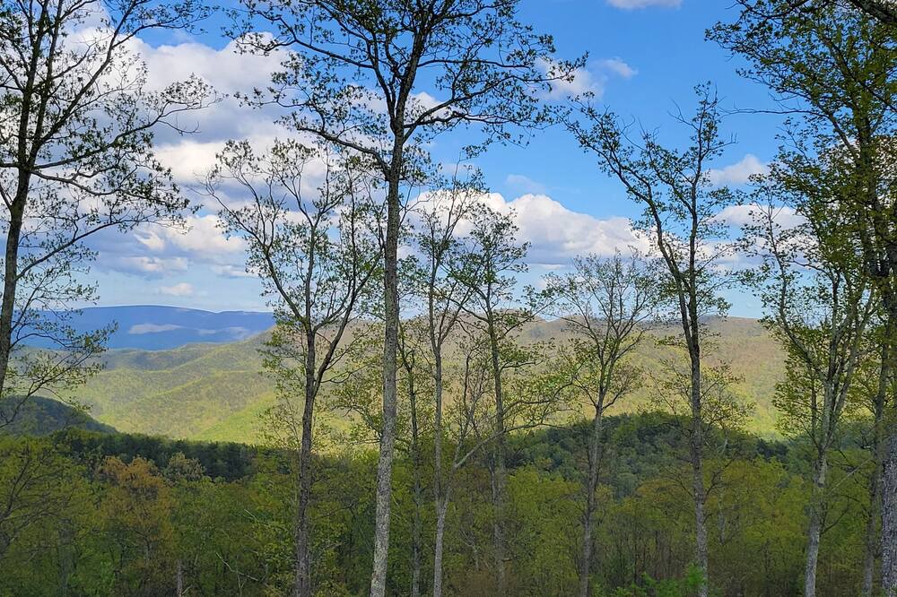 Photo of Outdoor in Covington