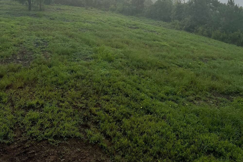 Photo of Outdoor in Blue Mountain