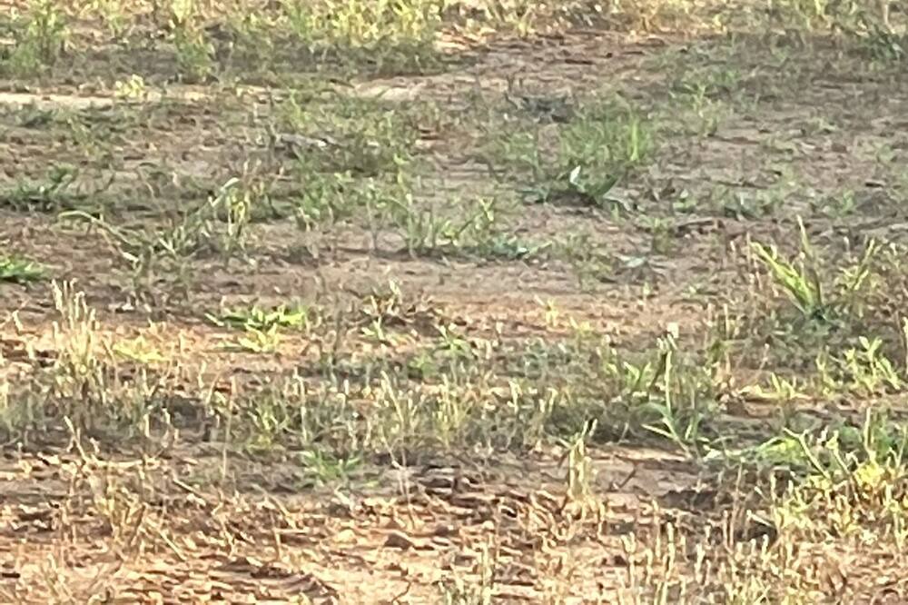 Photo of Others in Blue Mountain