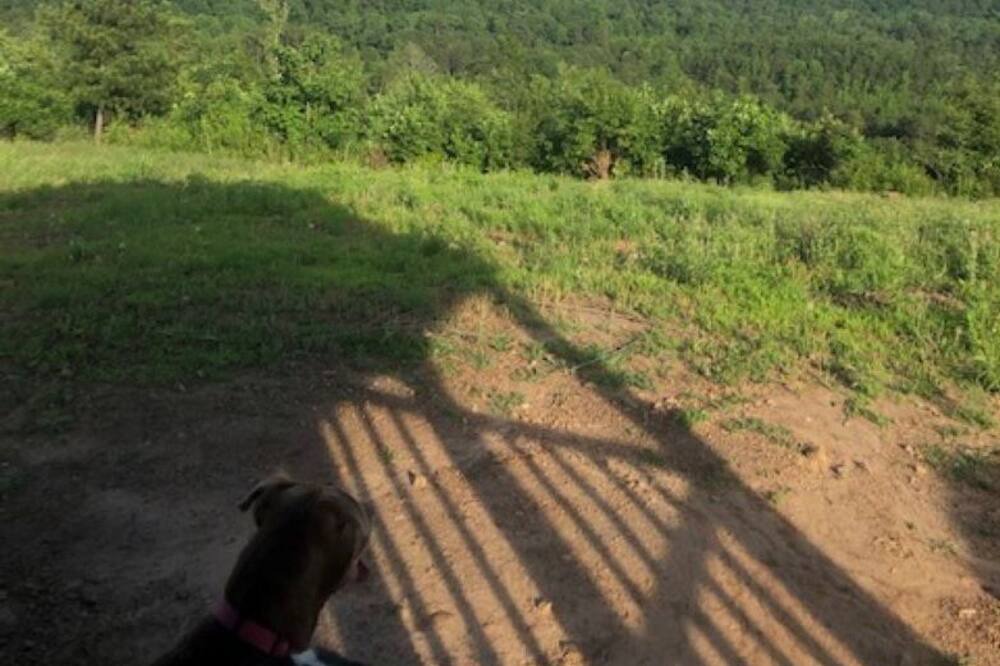 Photo of Others in Blue Mountain