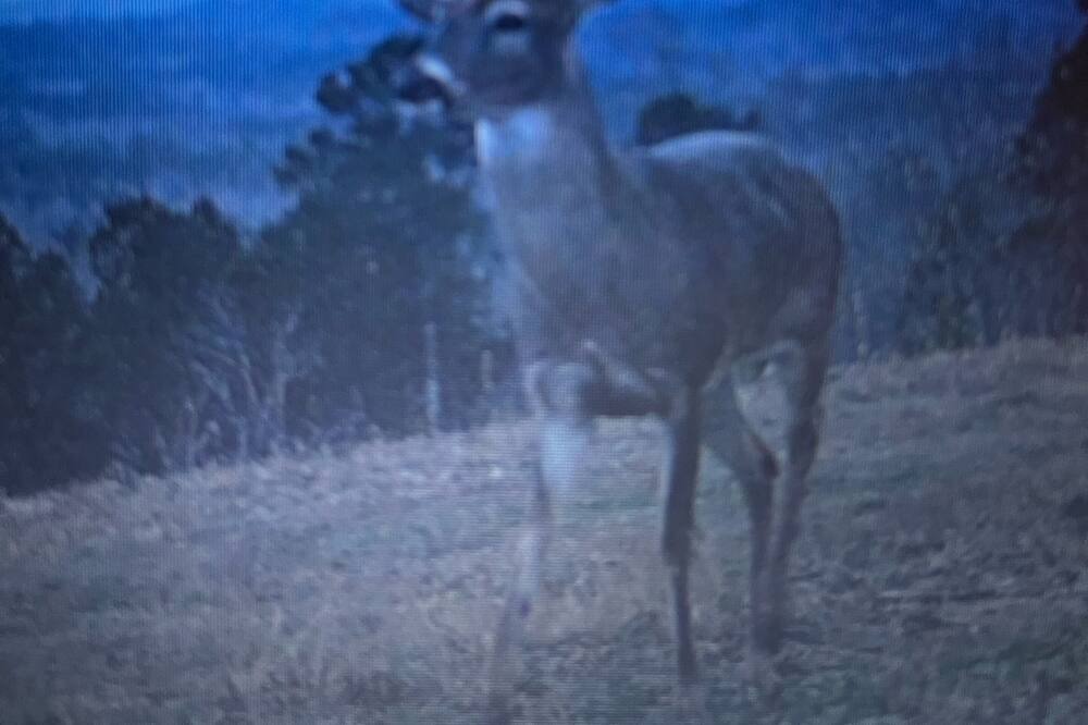 Photo of Others in Blue Mountain