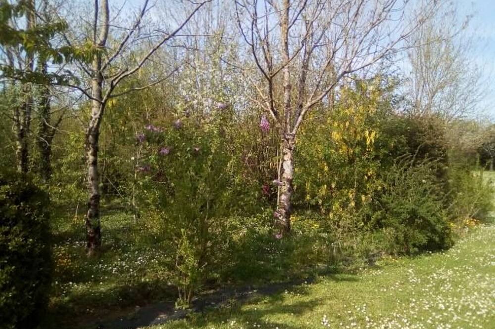 Photo of Outdoor in Saint-Aubin-la-Plaine