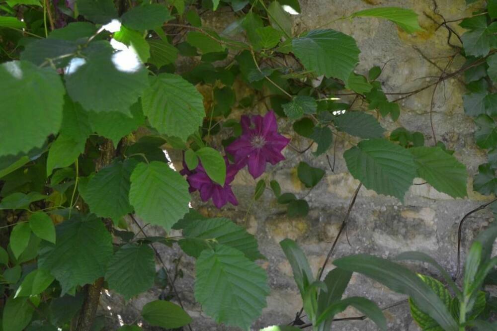 Photo of Outdoor in Saint-Aubin-la-Plaine