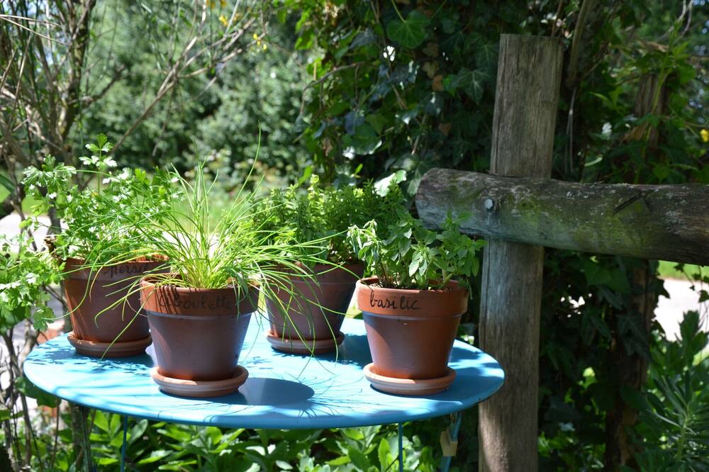 Photo of Outdoor in Thorigny