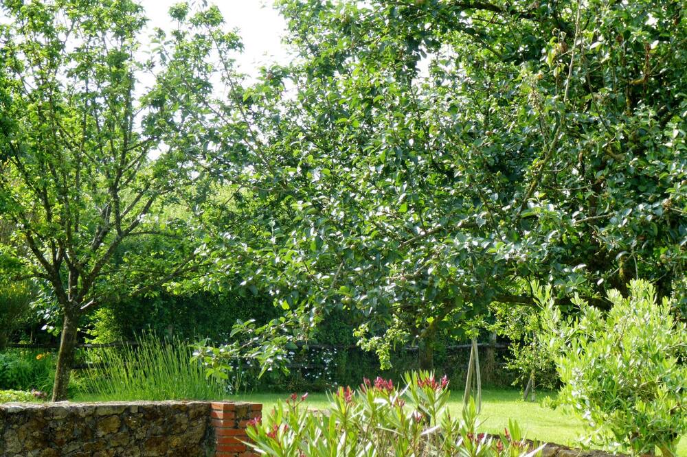Photo of Outdoor in Thorigny