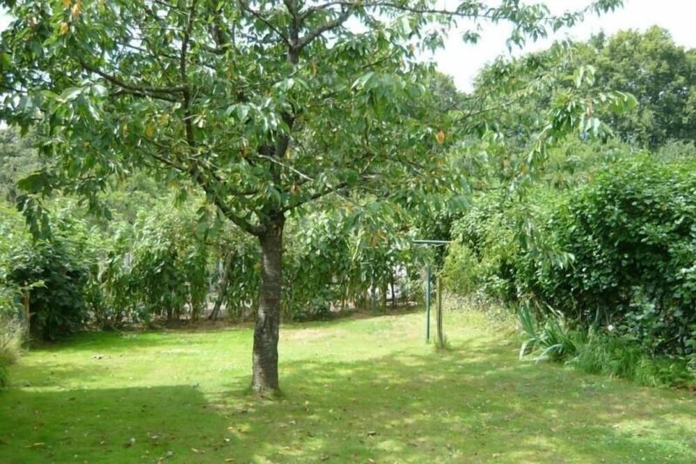 Photo of Outdoor in Rosnay