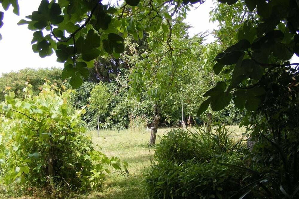 Photo of Outdoor in Saint-Michel-en-l'Herm