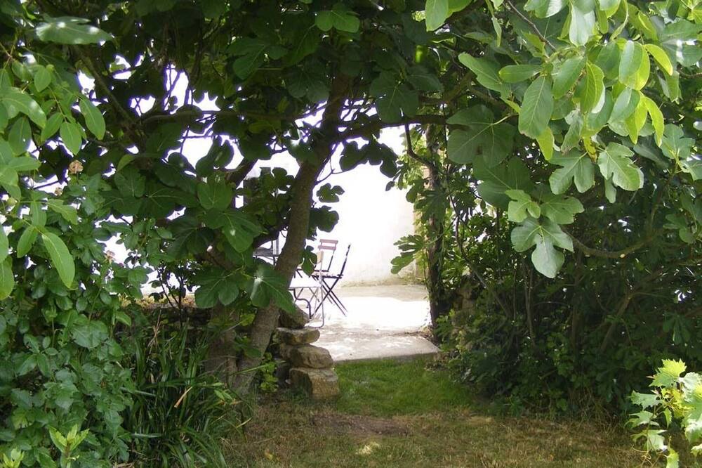 Photo of Outdoor in Saint-Michel-en-l'Herm