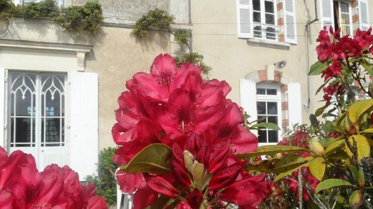 Photo of Outdoor in Le Champ-Saint-Pere