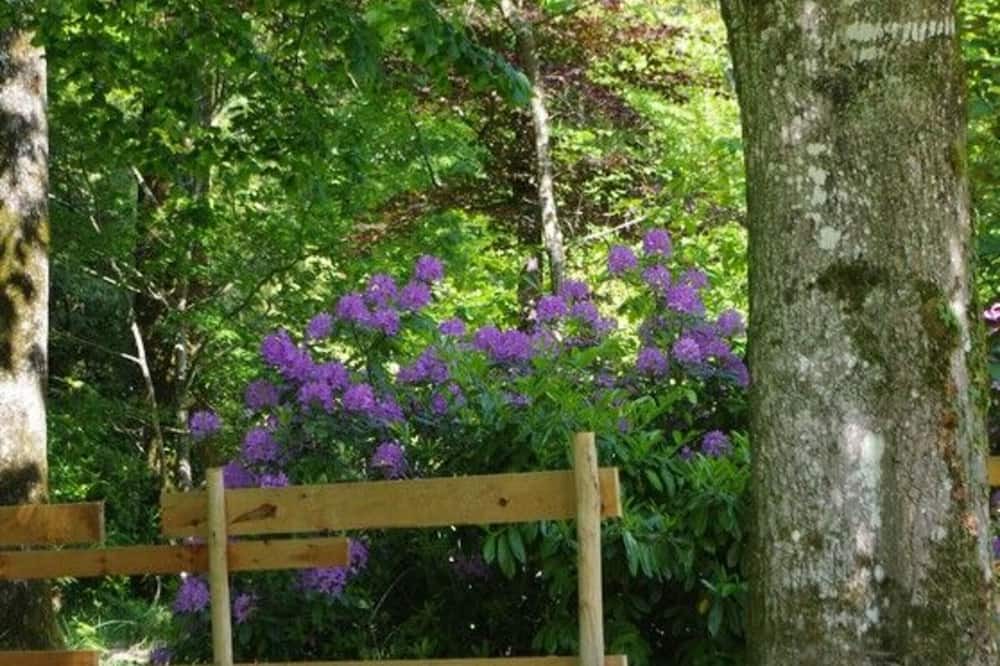 Photo of Outdoor in Fougere