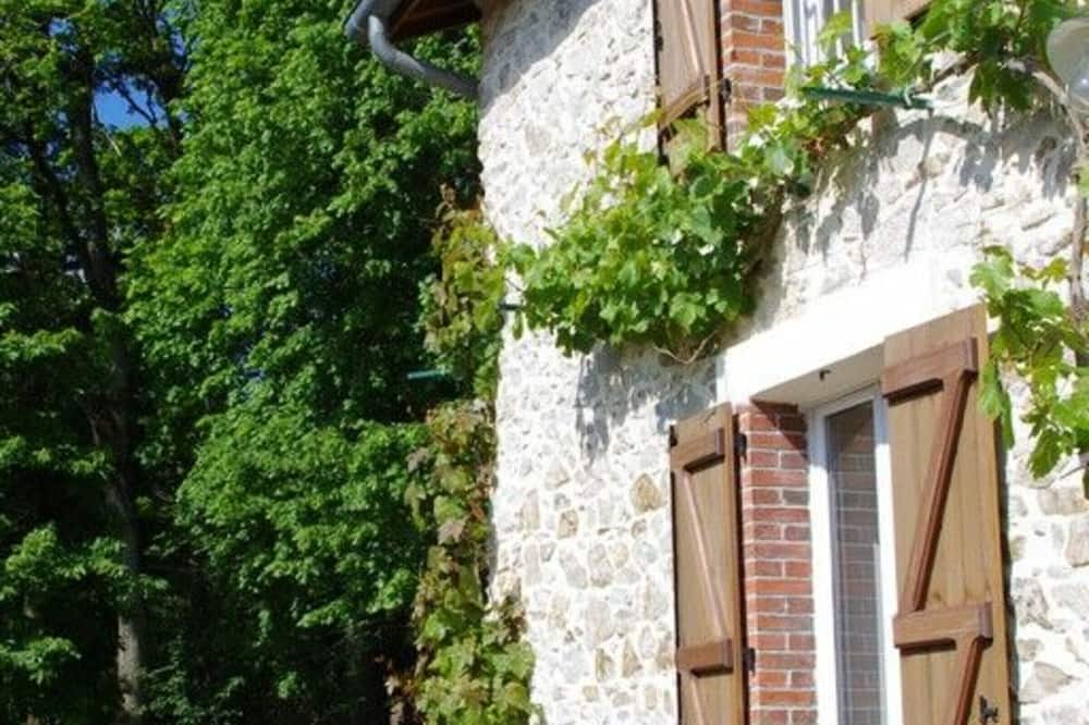 Photo of Outdoor in Fougere