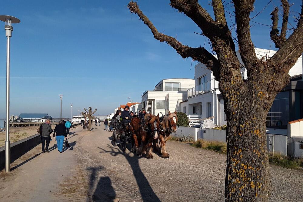 Photo of Others in Fromentine
