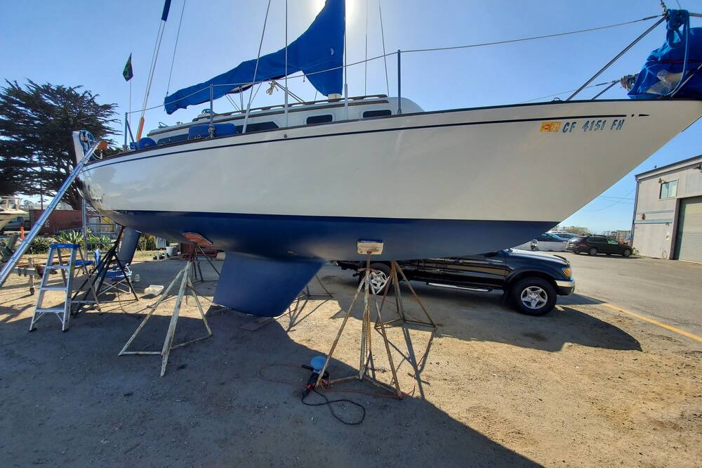 Photo of Others in Moss Landing