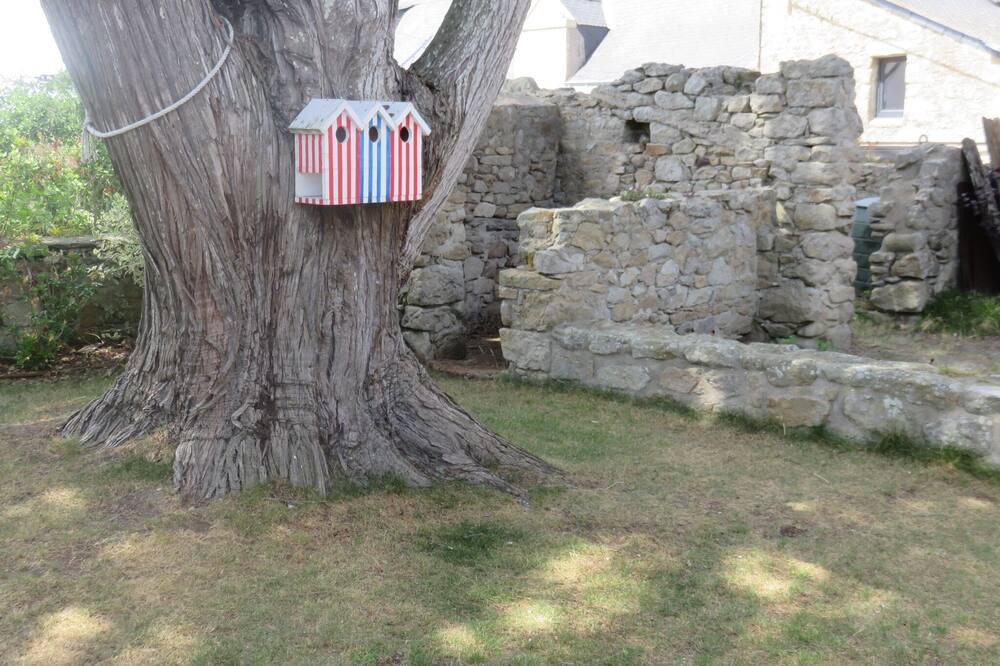 Photo of Outdoor in Batz-sur-Mer