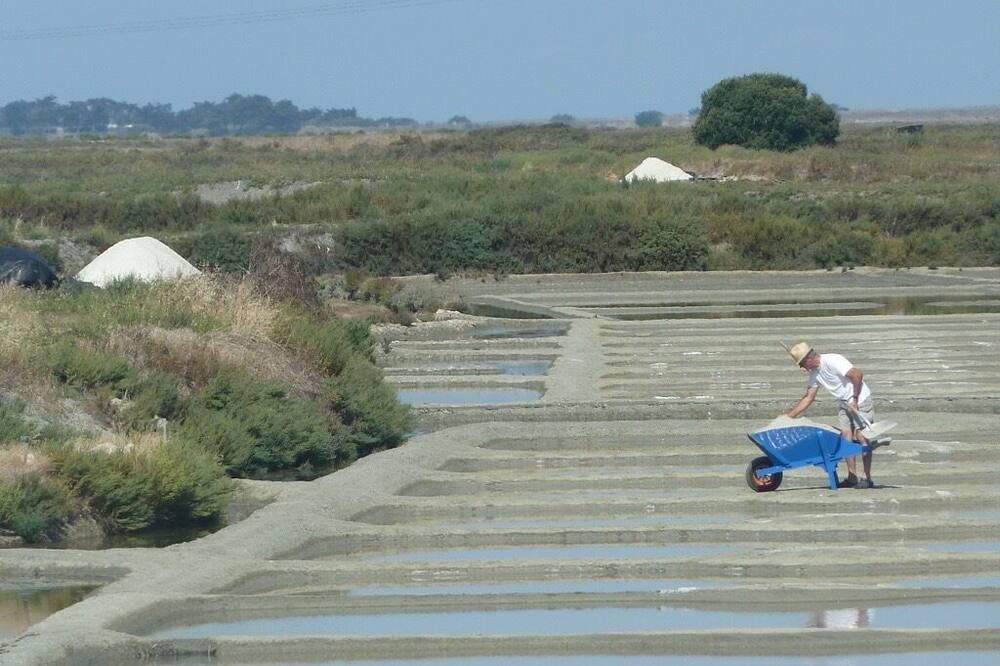 Photo of Others in Batz-sur-Mer
