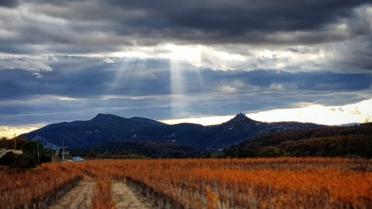 Photo of Outdoor in Saint Alban Auriolles