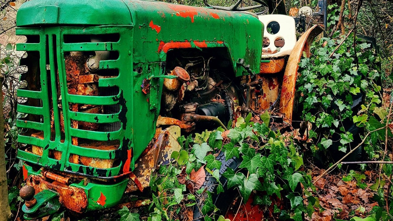 Photo of Outdoor in Saint Alban Auriolles