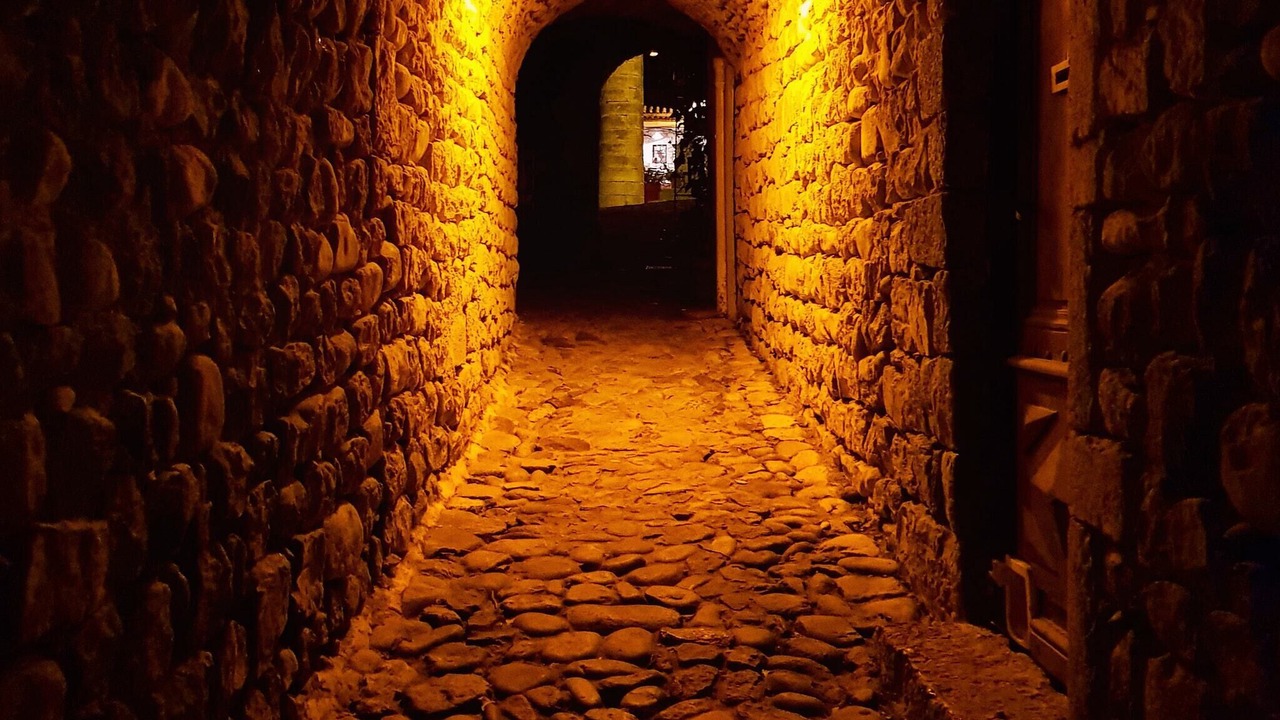 Photo of Others in Saint Alban Auriolles