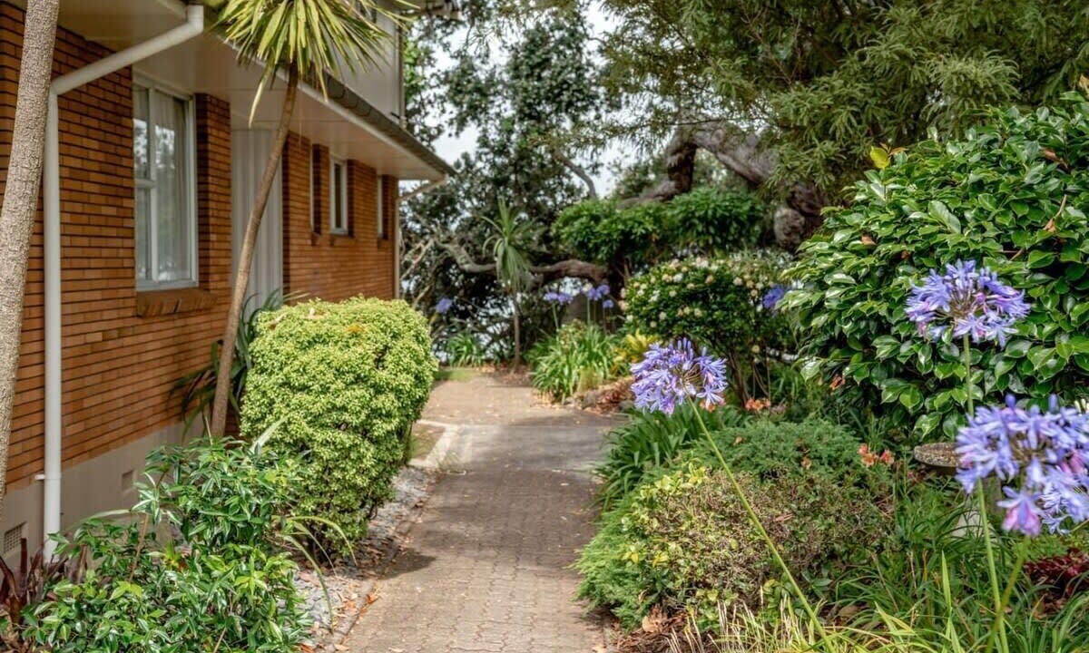 Photo of Outdoor in Tauranga