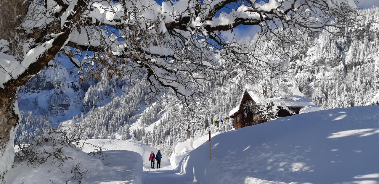 Photo of Others in Braunwald