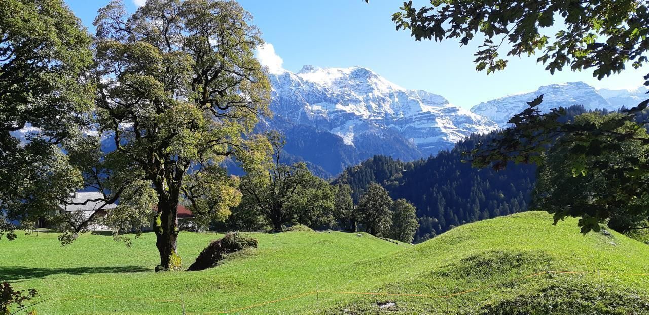 Photo of Others in Braunwald