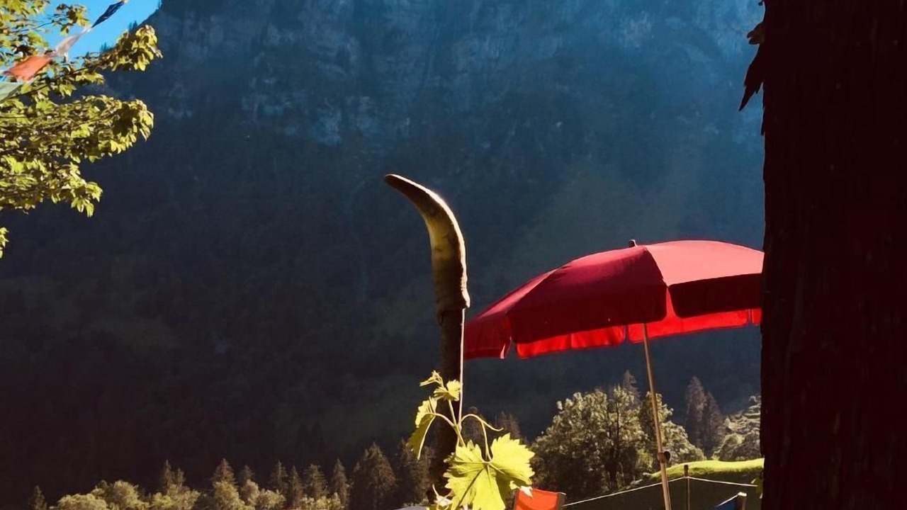 Photo of Outdoor in Braunwald