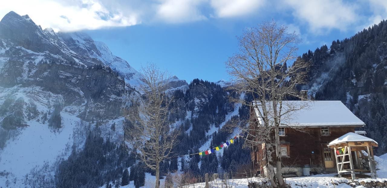 Photo of Others in Braunwald