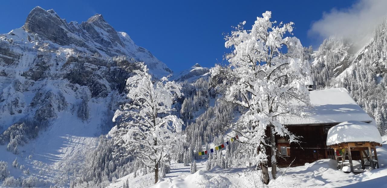 Photo of Others in Braunwald