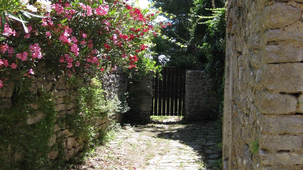Photo of Outdoor in Mali Losinj
