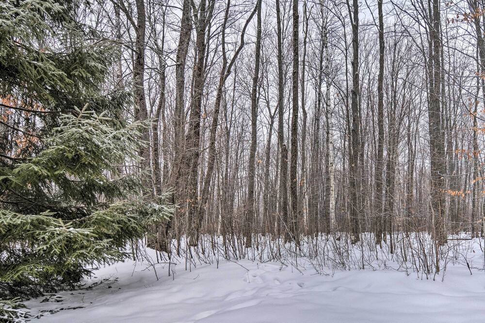 Photo of Outdoor in Elmira