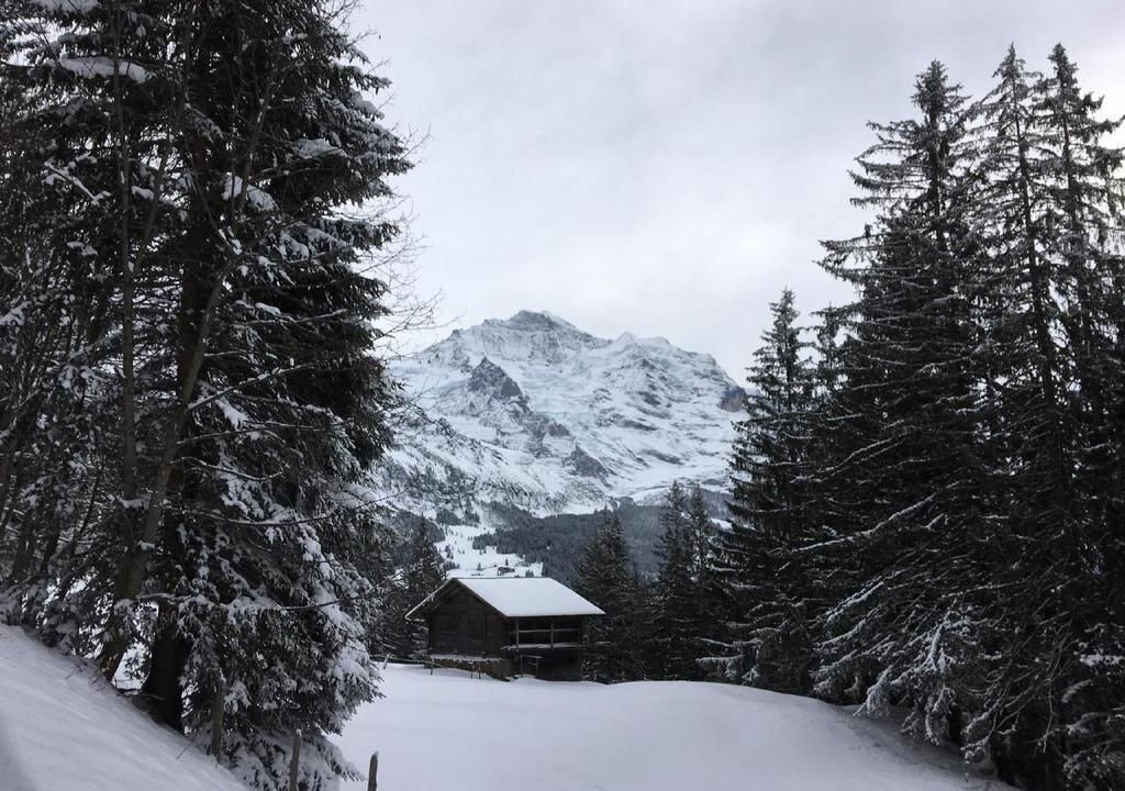 Photo of Others in Wengen