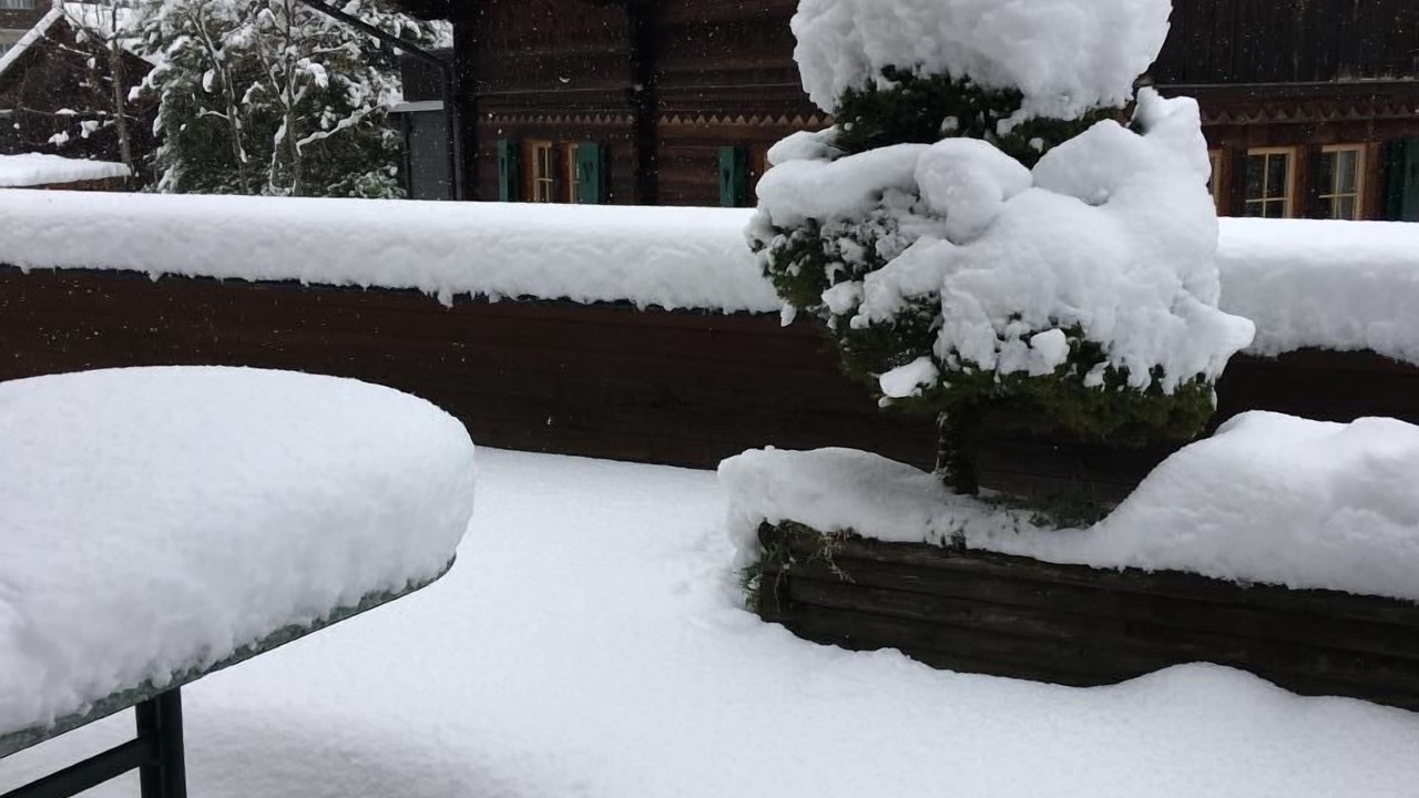Photo of Outdoor in Wengen