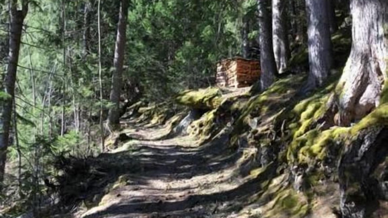 Photo of Others in Wengen