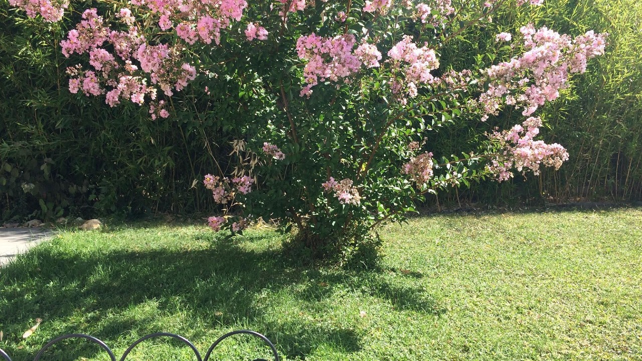 Photo of Outdoor in Saint-Cyr-sur-Loire