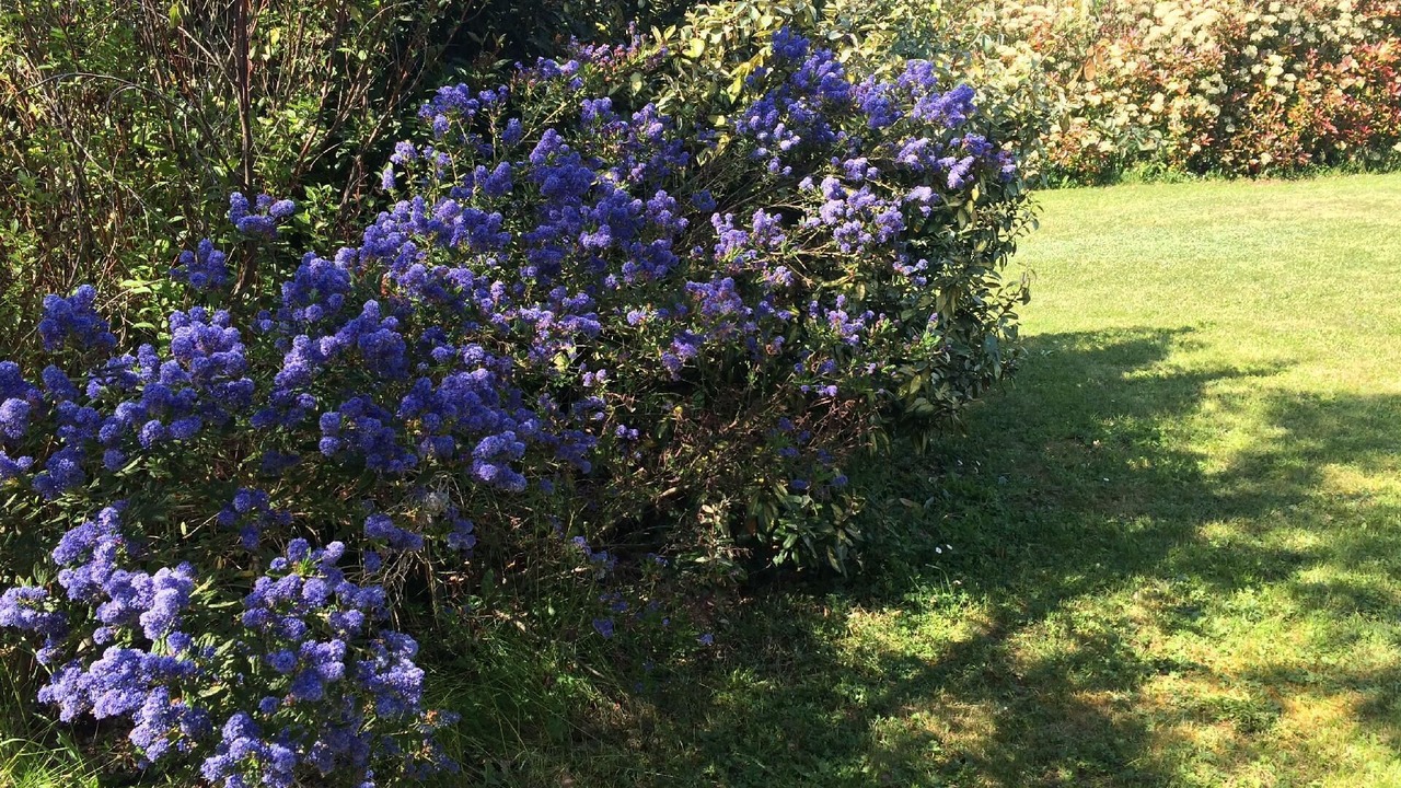 Photo of Outdoor in Saint-Cyr-sur-Loire