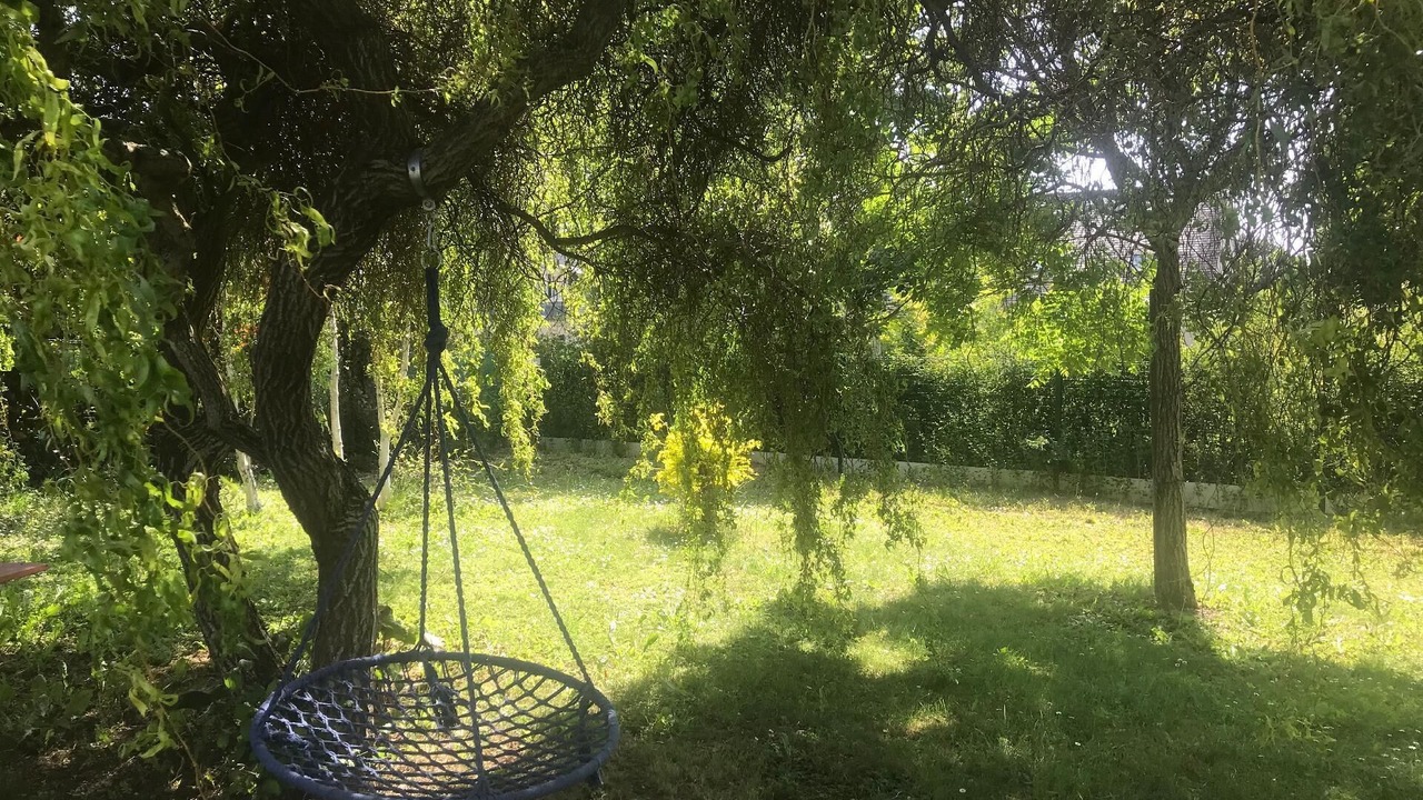 Photo of Others in Saint-Cyr-sur-Loire