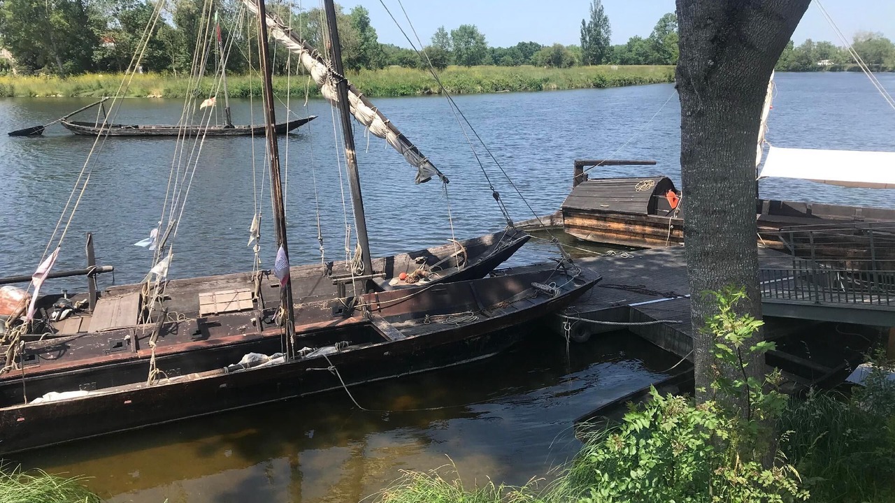 Photo of Others in Saint-Cyr-sur-Loire