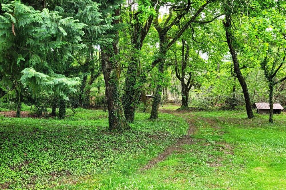 Photo of Outdoor in Bascons