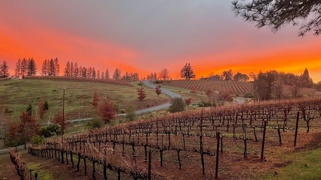 Photo of Outdoor in Apple Hill