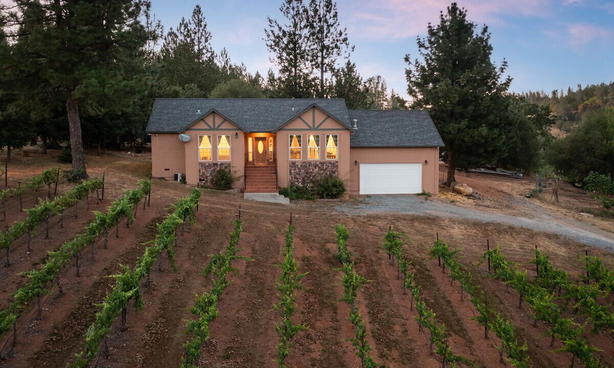 Photo of Outdoor in Apple Hill