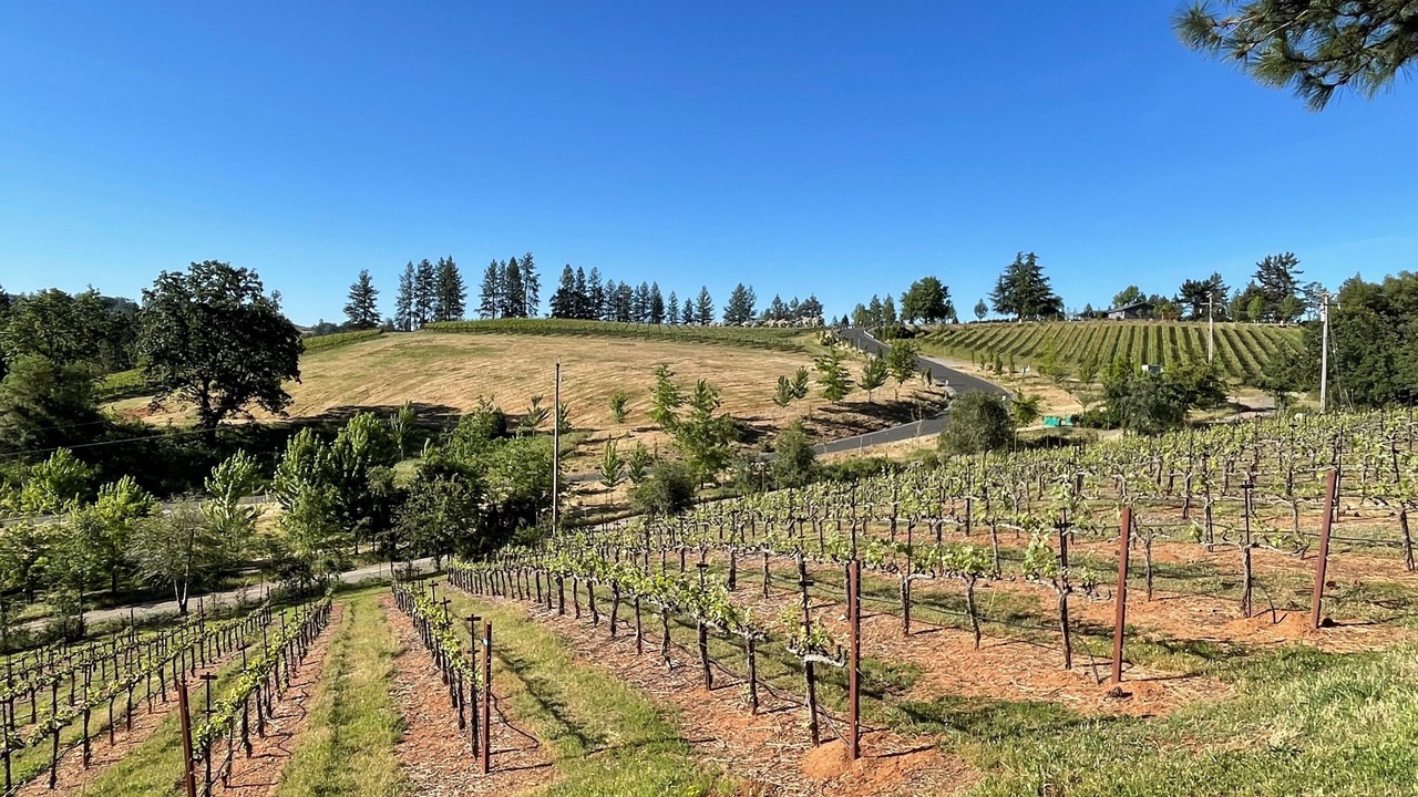 Photo of Outdoor in Apple Hill