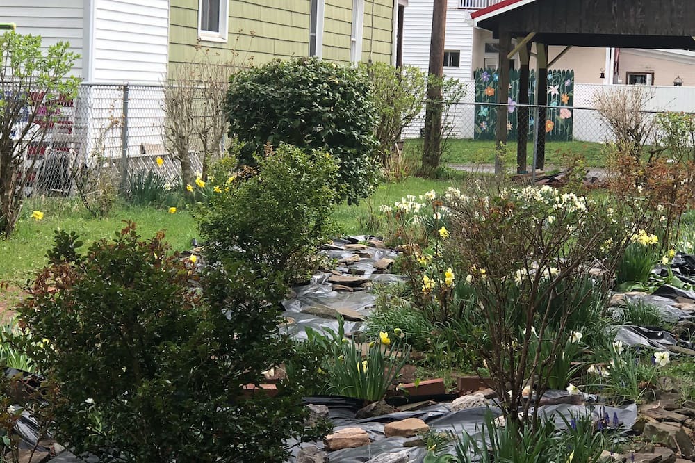 Photo of Outdoor in Renovo