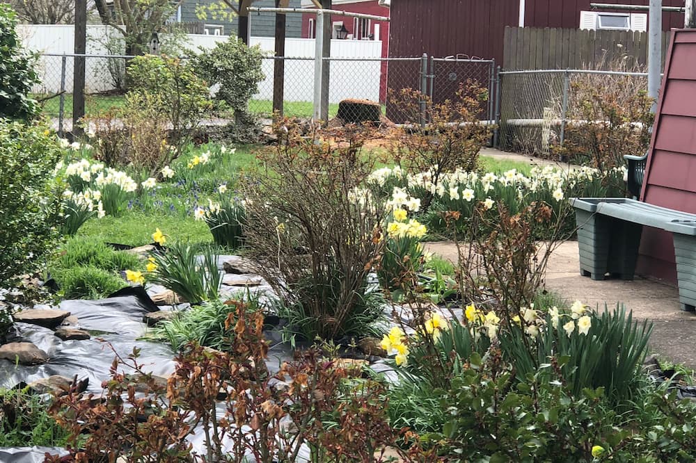 Photo of Outdoor in Renovo